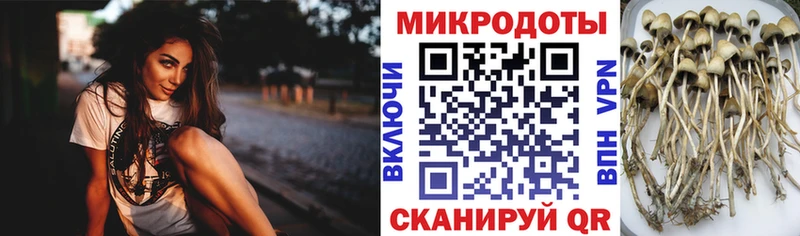 Галлюциногенные грибы Magic Shrooms  MEGA маркетплейс  Нелидово  наркота 